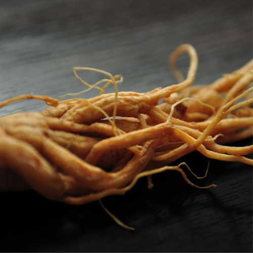 GINSENG BIO* - écopack 42 comprimés