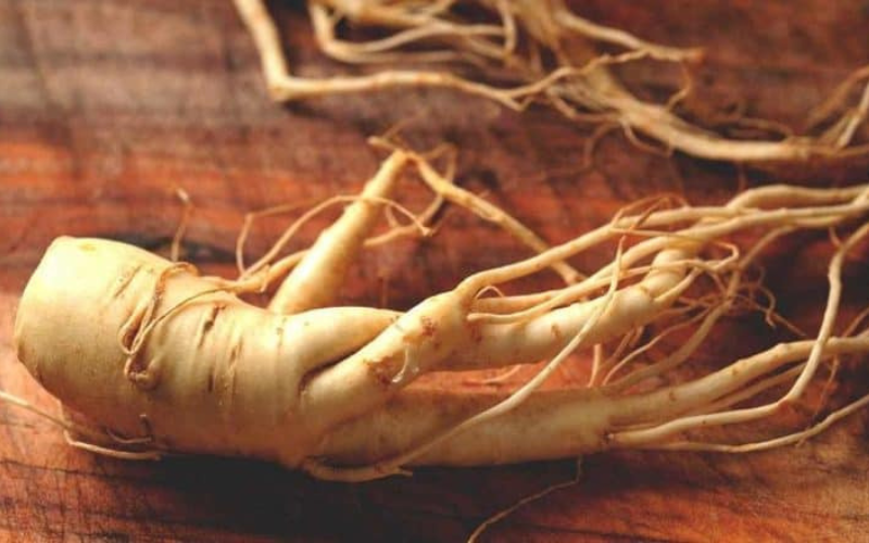 Le Ginseng Rouge Bio : un allié puissant pour renforcer votre immunité